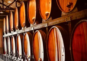 Full-Day Private Virginia Wine Tour Experience from Washington