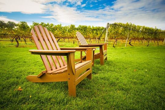 Half-Day Private Long Island Wine Tour Experience