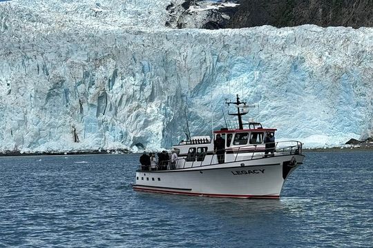 8hr Kenai Fjords Whale Watching Tour w/ 1hr Fishing 16 Passengers