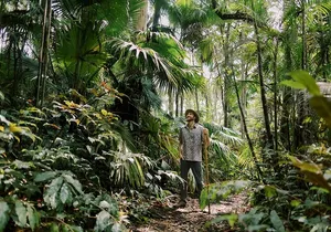 Kona Cloud Forest Sanctuary Montane Jungle Tour (2.5 hrs)