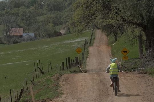 Full Day E-biking in the Sierra Foothills (Mariposa)