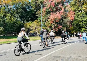 Central Park Bike Tour