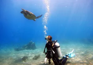 Scuba Diving in Maui with No Experience Needed