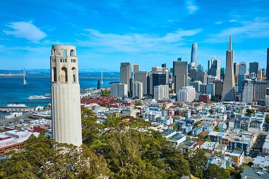 San Francisco: Coit Tower and Little Italy Guided Walking Tour