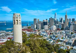 San Francisco: Coit Tower and Little Italy Guided Walking Tour