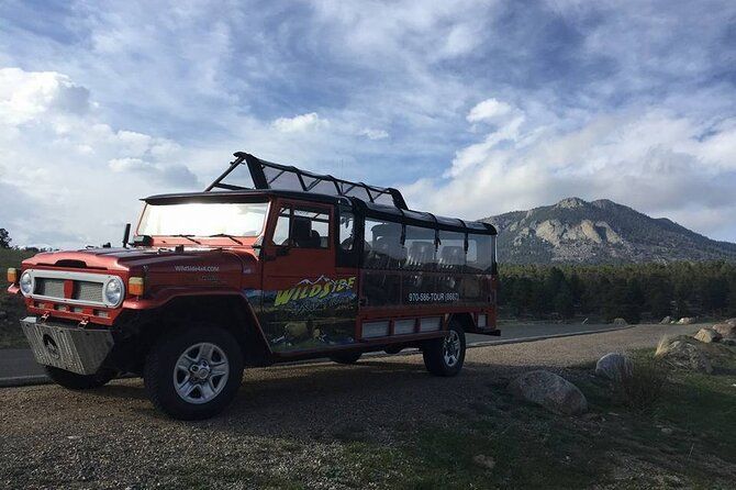 Sunset Wildlife Tour (Wildside 4x4 Tours)
