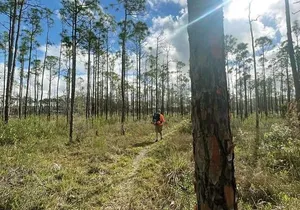 Florida Backcountry Overnight Camping Adventure