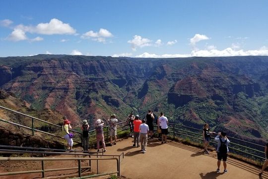Small-Group Waimea Canyon Adventure Tour & Beyond with Lunch