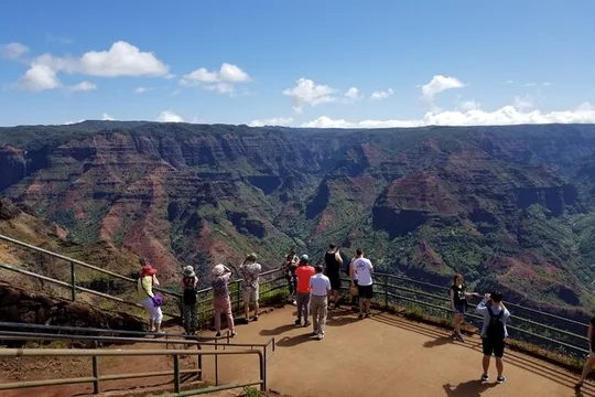 Small-Group Waimea Canyon Adventure Tour & Beyond with Lunch