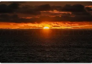 Private Venice Photographic Beach Walking Tour