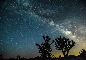 Joshua Tree Sunset & Stargazing Private Tour & Hike