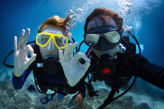 Waikiki Two Tank Guided Scuba Diving Adventure: Certified Diver