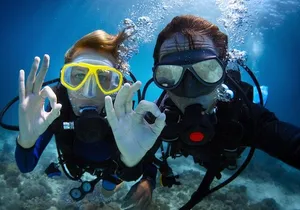 Waikiki Two Tank Guided Scuba Diving Adventure: Certified Diver
