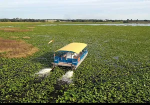 90 Minute Florida Everglades Boat Eco Tour