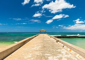 Honolulu's Waikiki Self-Guided Walking Audio Tour