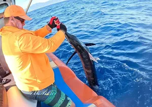 North Shore Fishing Charters and Private Cruises.