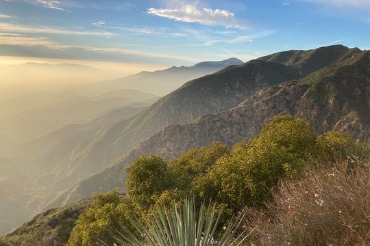 Manatee Season Guided Paddle Tour from Virginia Key