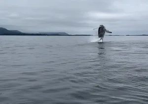 Sitka’s Private Wildlife Whale Adventure for 6 w/Transportation