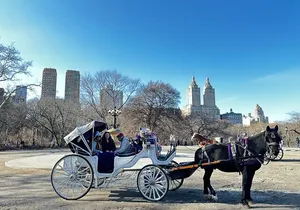 Unforgettable Luxury Horse and Carriage Tours in Central Park