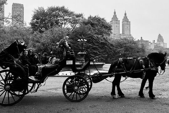NYC Empire State Horses Carriage Ride in Central Park (45 Mins)