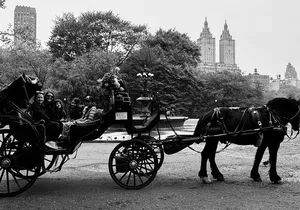 NYC Empire State Horses Carriage Ride in Central Park (45 Mins)