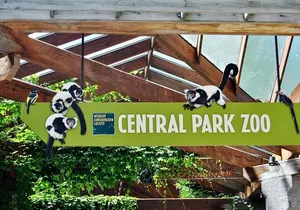 Visit Central Park Zoo & 3h Manhattan Walking Tour