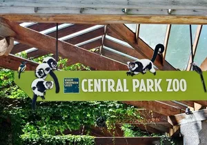Visit Central Park Zoo & 3h Manhattan Walking Tour