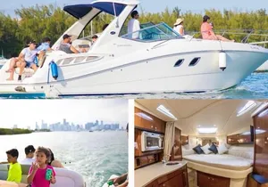 Miami Celebration! (Bathroom/AC/Kitchen)