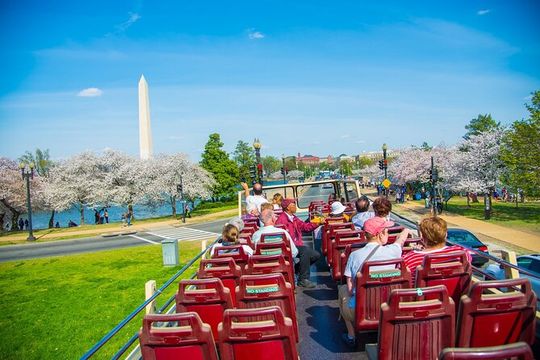 DC: Hop-on Hop-off Bus, Arlington Walking Tour, and Night Tour