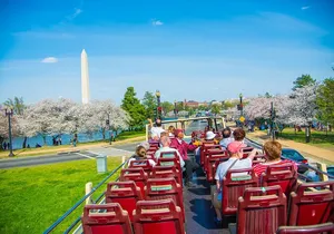 DC: Hop-on Hop-off Bus, Arlington Walking Tour, and Night Tour