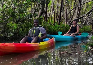 Self Guided EcoTour: Clear/Standard Kayaks -Bonita Springs