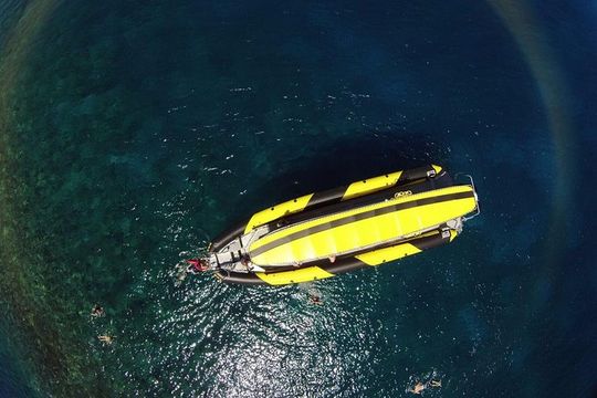 5 Hour Molokini Snorkel & Turtle Tour in Maui