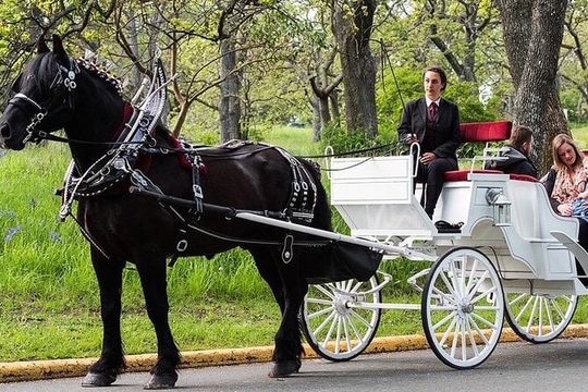 Official Private NYC CentralPark Horse Carriage Ride Since 1972