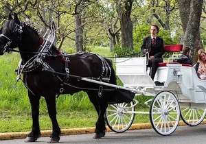Central Park and NYC Horse Carriage Ride