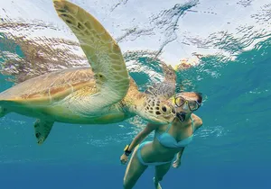 Snorkeling with Turtle/Water Scooter/Paddleboard Adventures Oahu