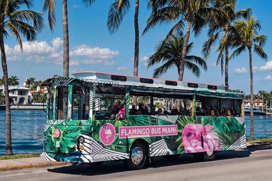 Flamingo Bus Miami Tours! Miami's Only Open-Air Trolley Bus Tour!