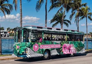Flamingo Bus Miami Tours! Miami's Only Open-Air Trolley Bus Tour!