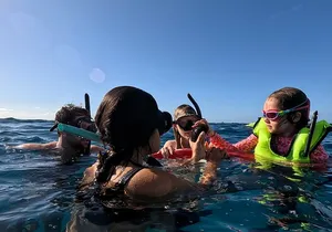 Private Snorkeling Cruise in Waikiki
