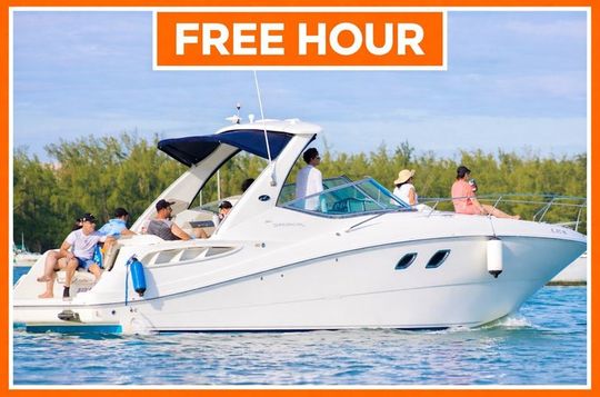 Miami Celebration! (Bathroom/AC/Kitchen)