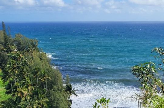 Full Day Small Group Tour of Maui Waterfall, Beach and Hana