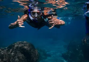 Sunset Glow Snorkel At Turtle Town With Photo & Video
