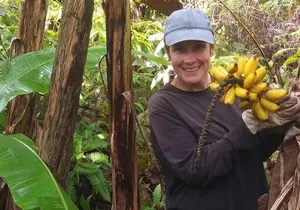 Hawaiian Rainforest Banana Cultivation Experience
