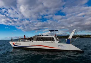 Wake up with the Whales Cruise from Kawaihae Harbor