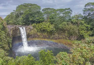 Private Hilo Shore Excursion - Botanical Gardens & Waterfalls