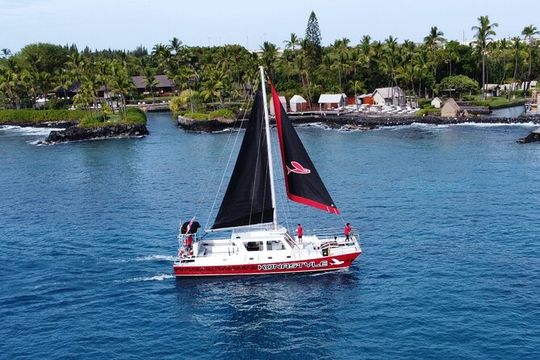Afternoon Kealakekua Snorkel and Sail