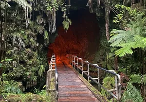 Private Hilo Shore Excursion to Volcano Waterfall and Black Sand