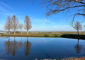 Epic 2-Hour Kissimmee E-Bike Adventure Awaits with Toho Bikes!