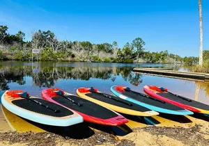 Ormond Beach Manatee and Nature Tour Kayaking or Paddle Boarding