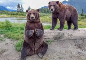 Wildlife Center with Lunch & Local Beer Sampling - Winter&Summer