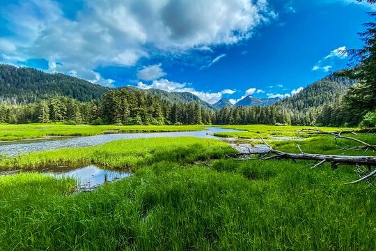 Explore Beyond the Dock: Unforgettable Private Tour in Sitka